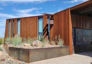 Metal Decking